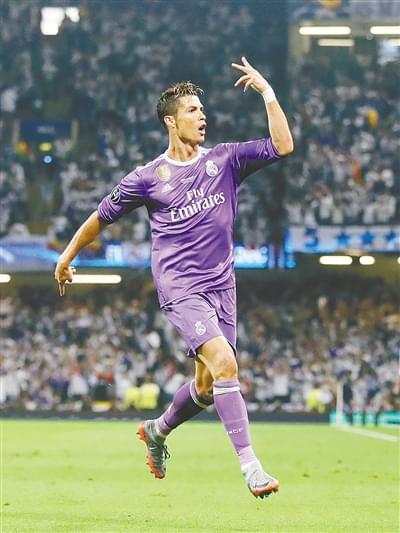 葡萄园而著 葡萄园而著